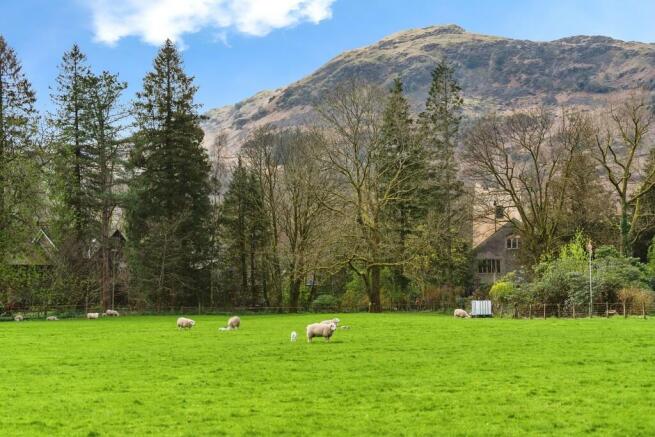 Grasmere Views