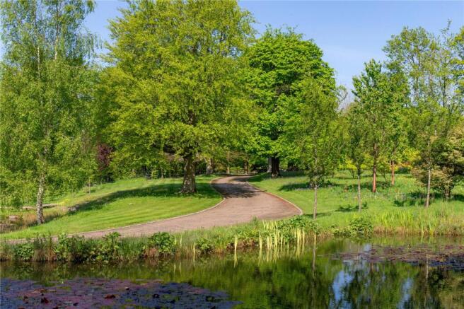 Grounds