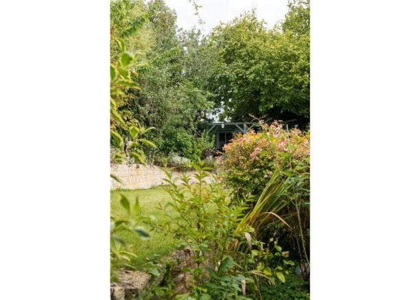 Mature Garden