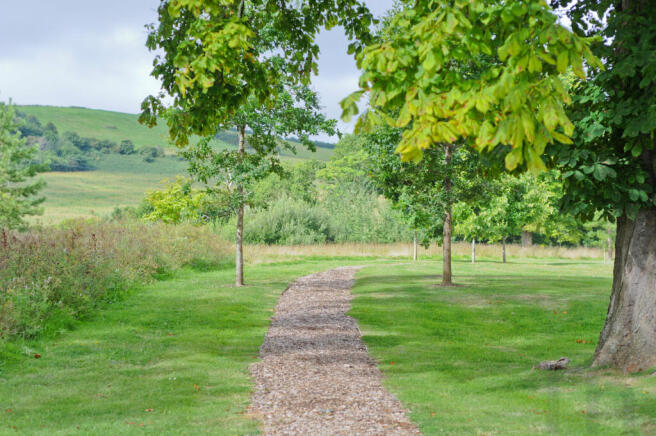 Communal Paths.JPG