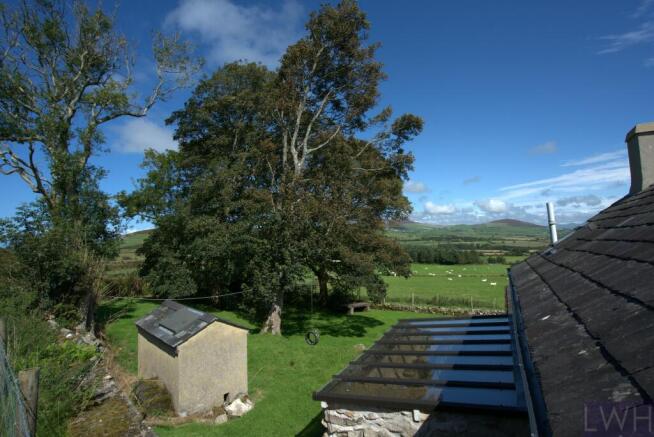 Rear Garden 3