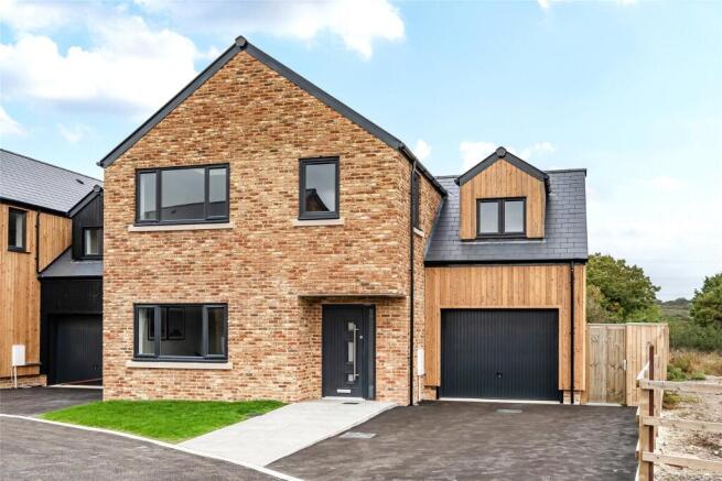 Plot 8