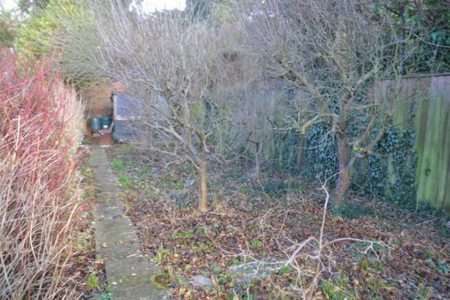 Orchard