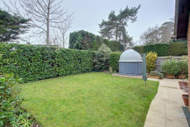 Garden at Back