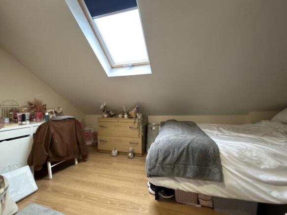 thumbnail_IMG_3921 (1)