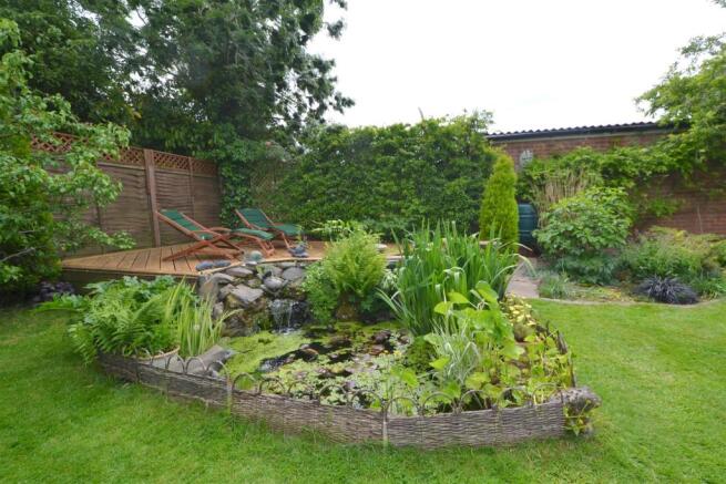 pond2.JPG