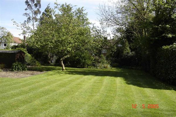 Photo 17
