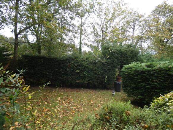 Photo 8