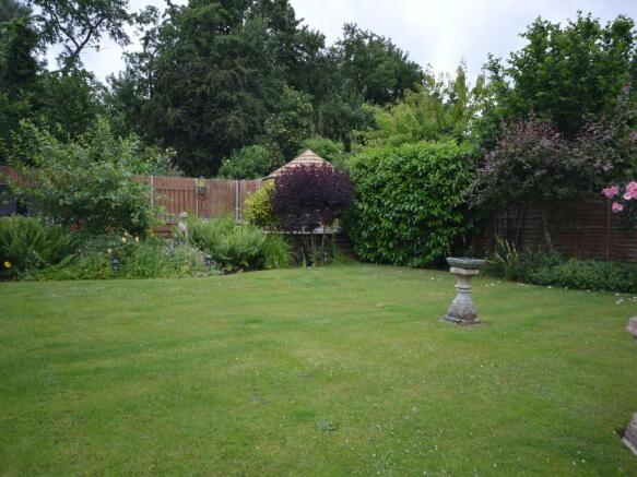 Image 13