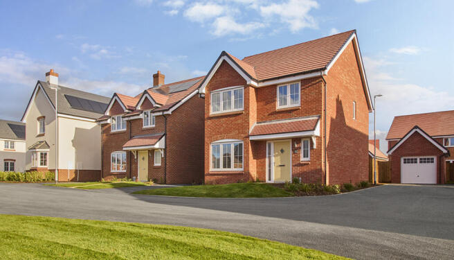 External Photography