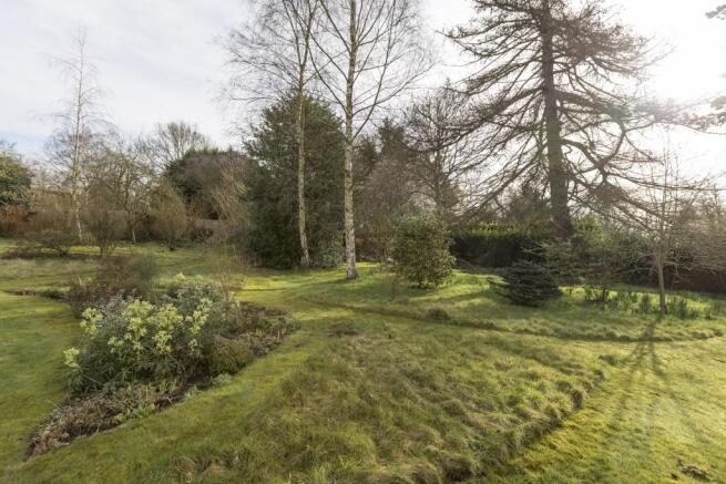 Garden 3