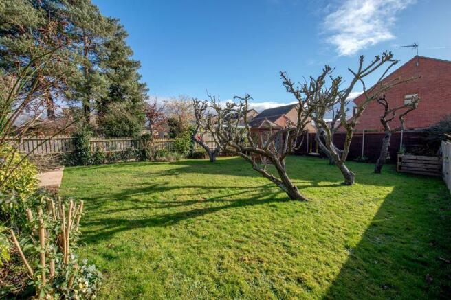 Rear garden