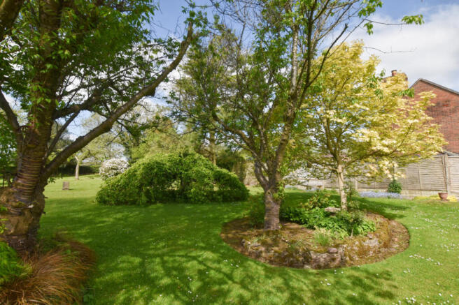 Garden 2