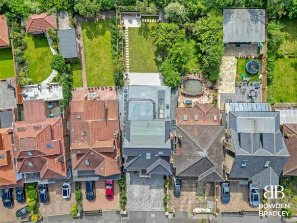 Birdseye