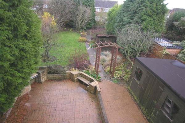 Photo 4