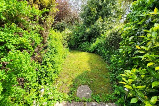 Garden (2) 