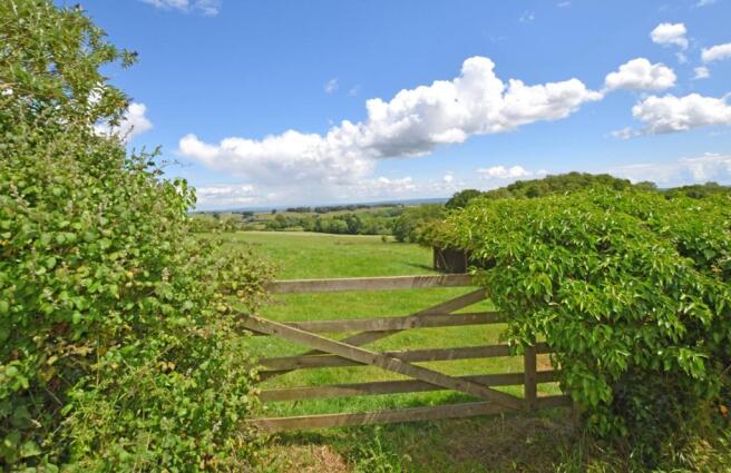 Countryside Views