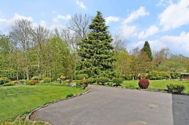 Driveway Parking 