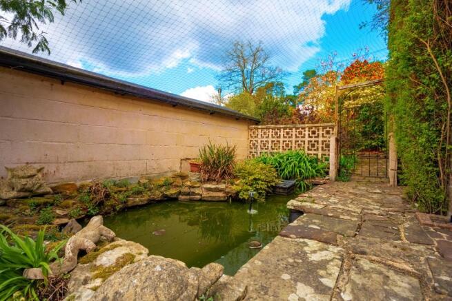 Pond