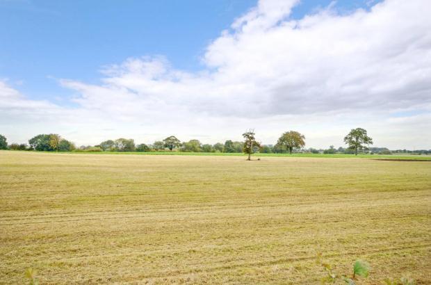 View Over Farmland