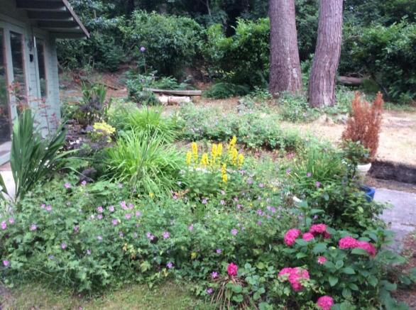 Communal Garden