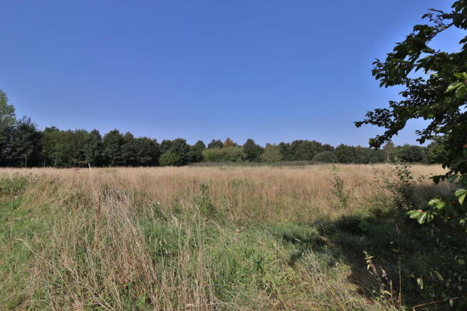 The Common