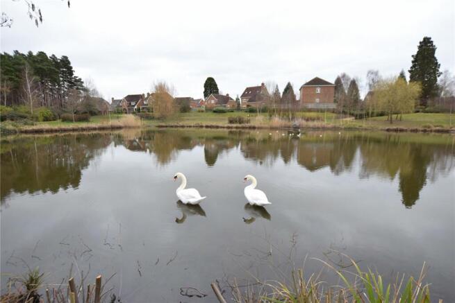 The Pond