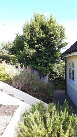 Rear Garden 4