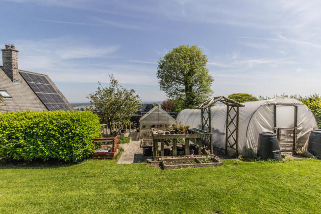 Vegetable Garden