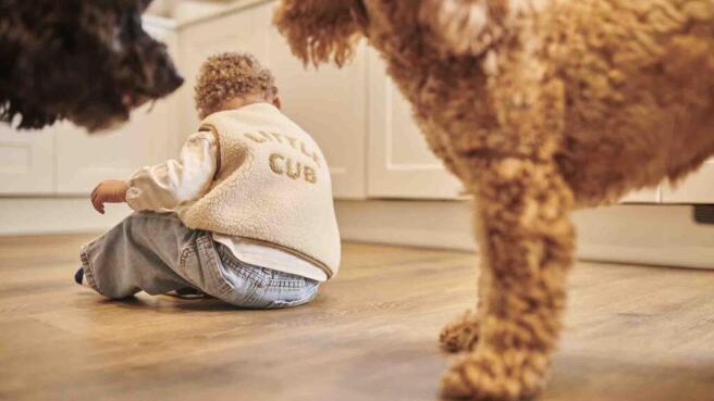 HarperCrewe - Rightmove -