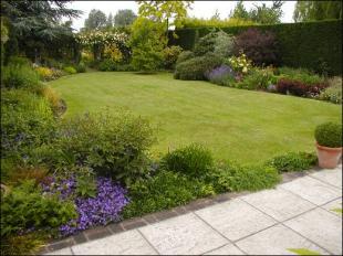 garden