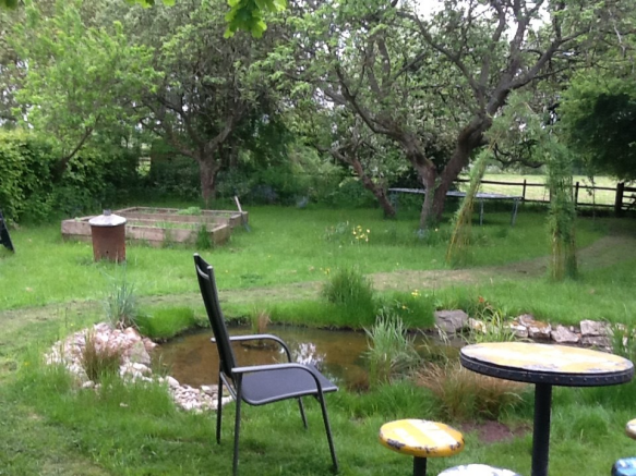 Orchard