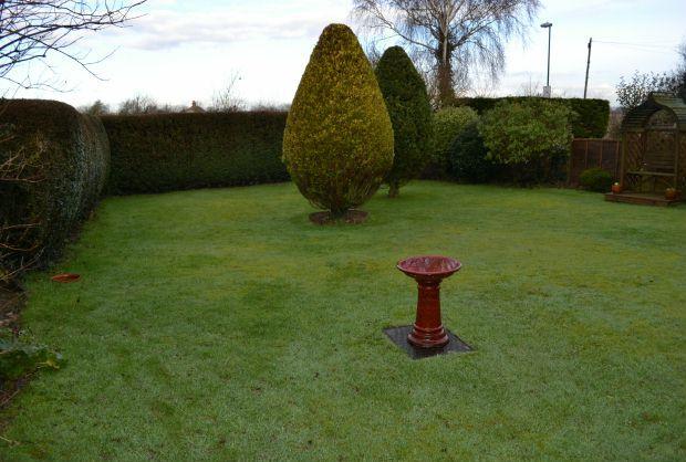 FRONT GARDEN