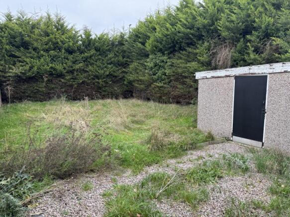 20251229 135157955 IOS T202601051310.jpg