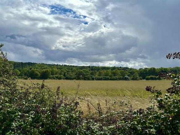 view over the hedge