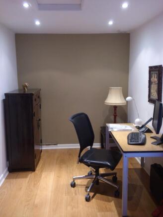 Study Area