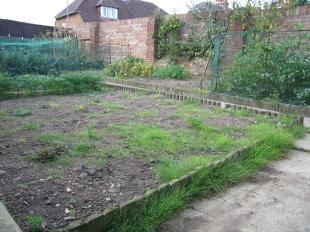 Vegetable Garden