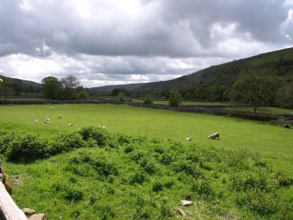 Field
