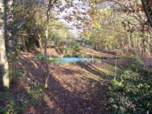 Photo 23