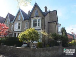 Flat 4, 100, Psalter Lane, Sheffield S11 8YQ