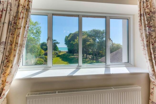 Window view