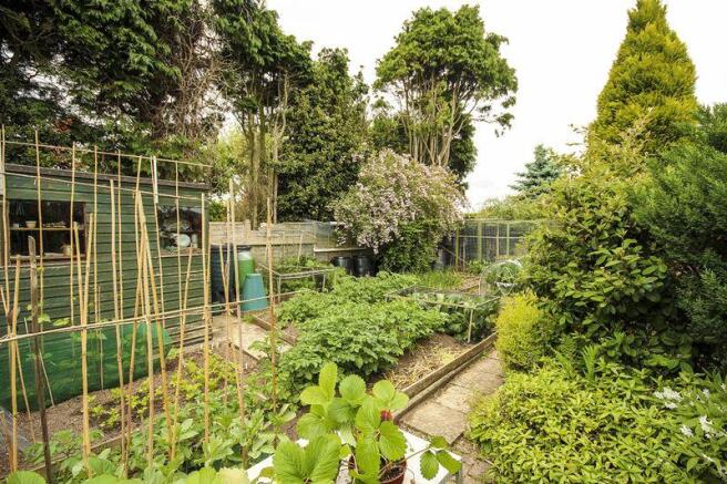 Vegetable garden