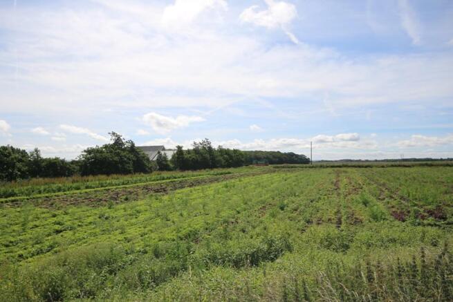 Fields To Front