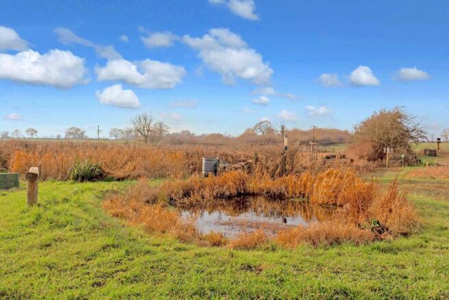 Pond