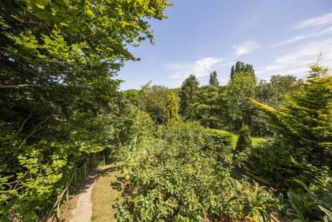 Vegetable Area