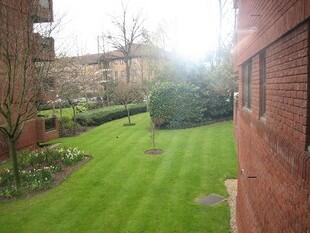 Communal Gardens