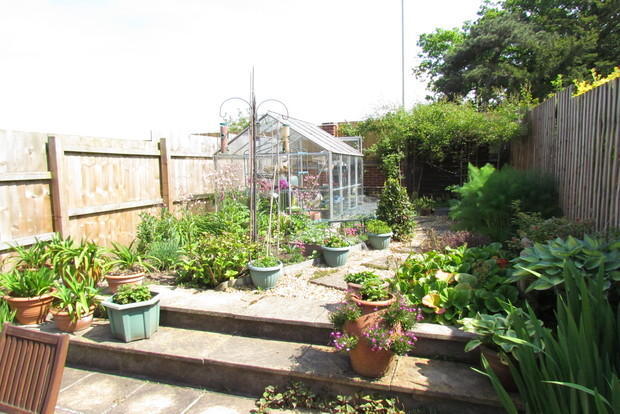 Photo 7