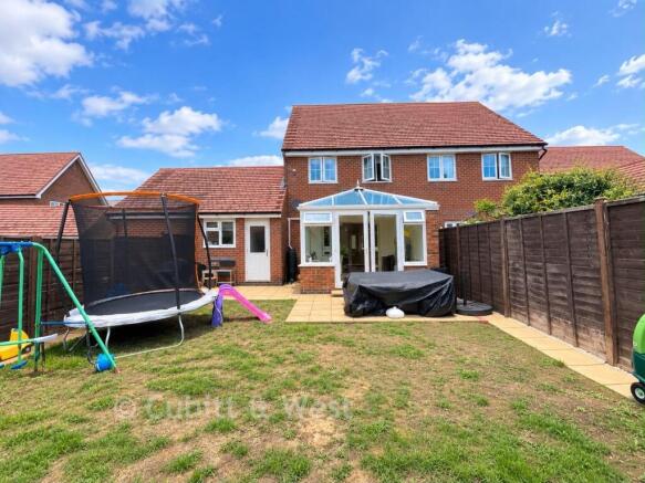 New Rear Garden
