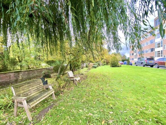 14 coton manor-1.jpg