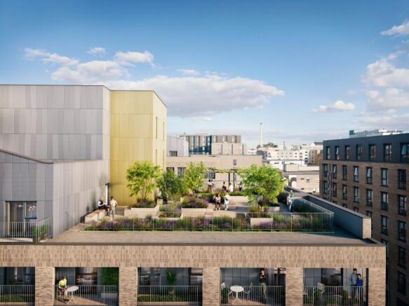Roof Terrace
